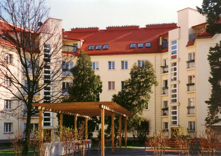 schimon2