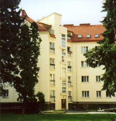 schimon3